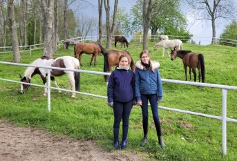 2 stagiaires Erasmus, chevaux en arrière-plan