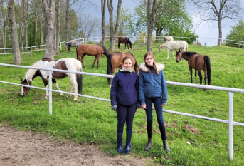 2 stagiaires Erasmus, chevaux en arrière-plan
