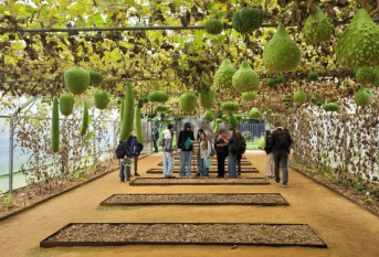 visite du potager extraordinaire