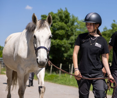 Une élève tient un cheval en main