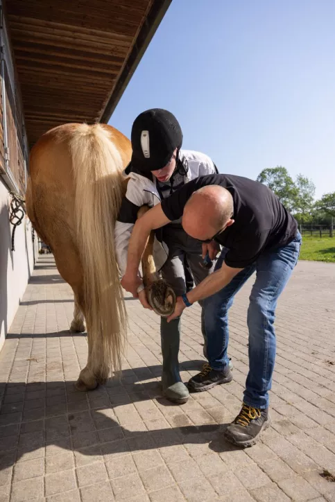 Un enseignant vérifie le sabot d'un cheval avec un élève