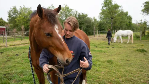 LPA Daniel Brottier - CAPA2 élevage équin : Amandine met un filet à un cheval qui est au pré