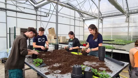 bac pro productions horticoles