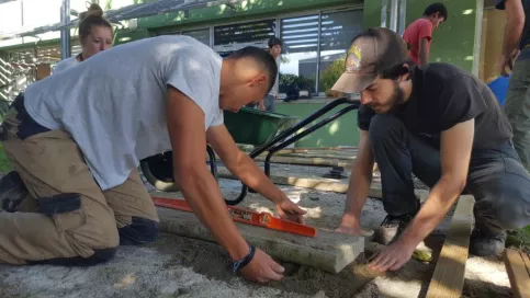 bac professionnel aménagements paysagers