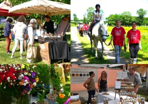 4 photos prises lors de la fête des plantes 2025
