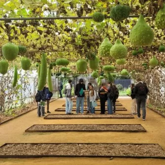 visite du potager extraordinaire