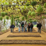 visite du potager extraordinaire