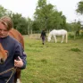 LPA Daniel Brottier - CAPA2 élevage équin : Amandine met un filet à un cheval qui est au pré