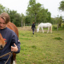 LPA Daniel Brottier - CAPA2 élevage équin : Amandine met un filet à un cheval qui est au pré