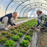 PRODUCTION HORTICOLE (BTSA)